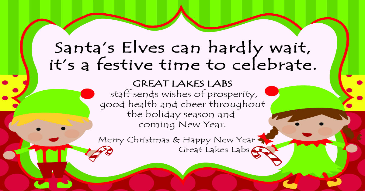 Merry Christmas and Happy New Years from Great Lakes Labs!